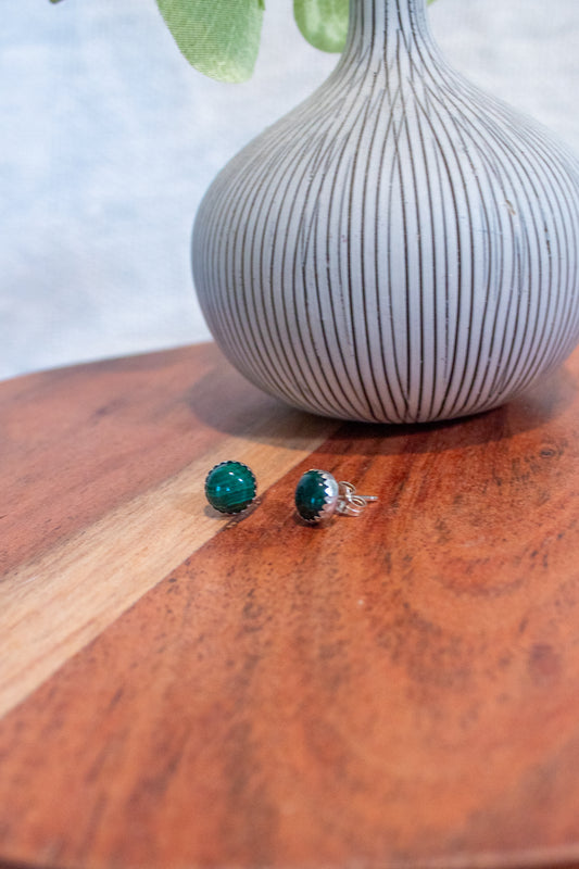 Evergreen Studs