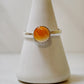 Large Spiny Oyster Ring Size 9